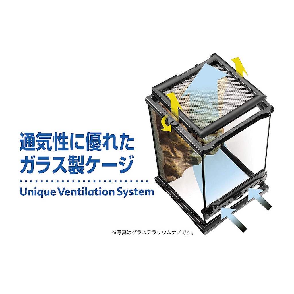 f:id:fusion2003:20190925005703j:image
