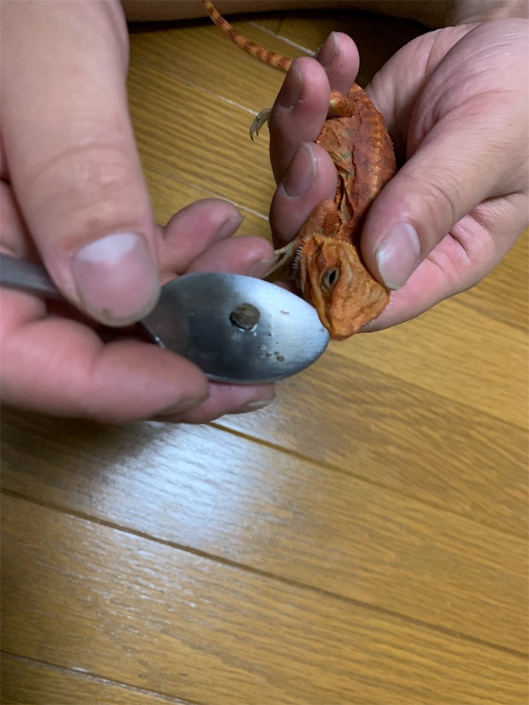 f:id:fusion2003:20190930222958j:image