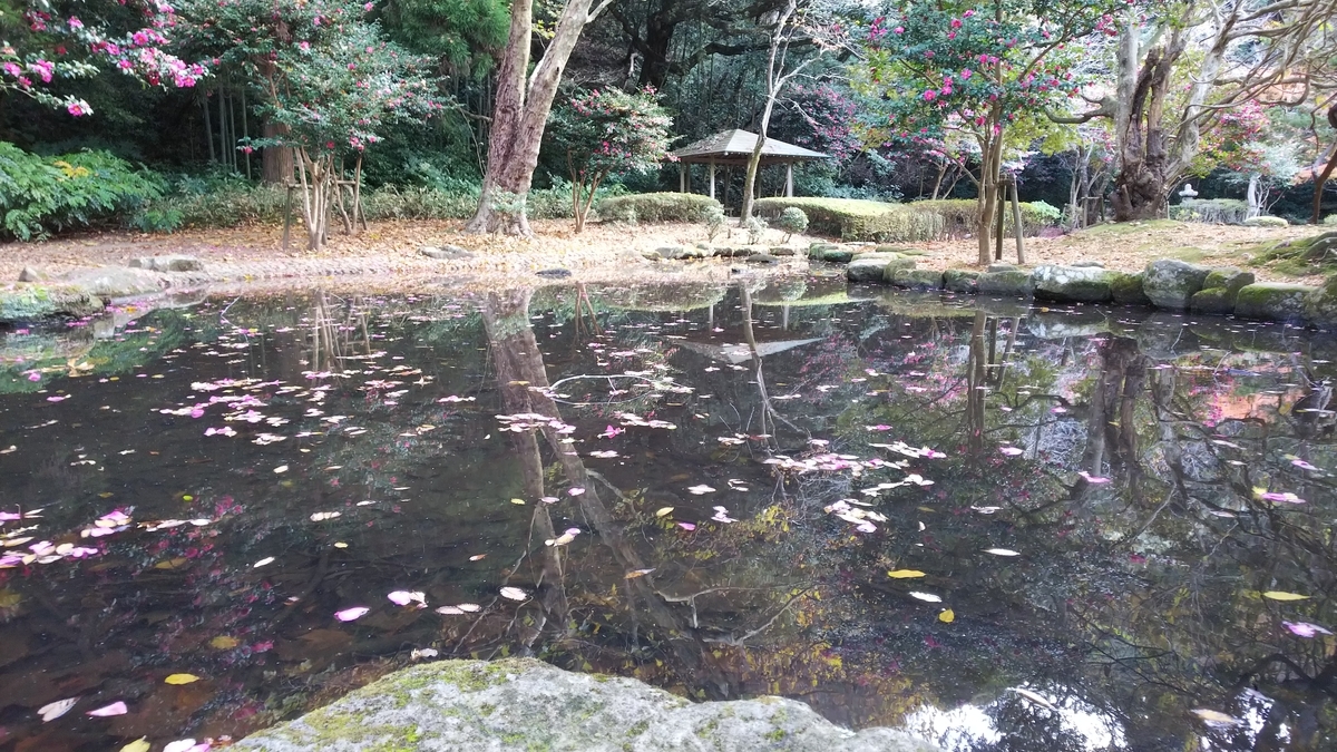 f:id:futaba1107:20200528211642j:plain