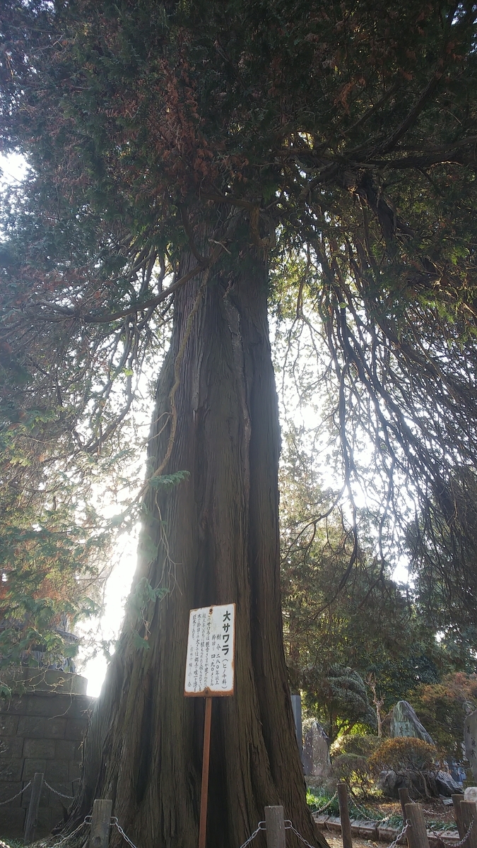 f:id:futaba1107:20210124102218j:plain