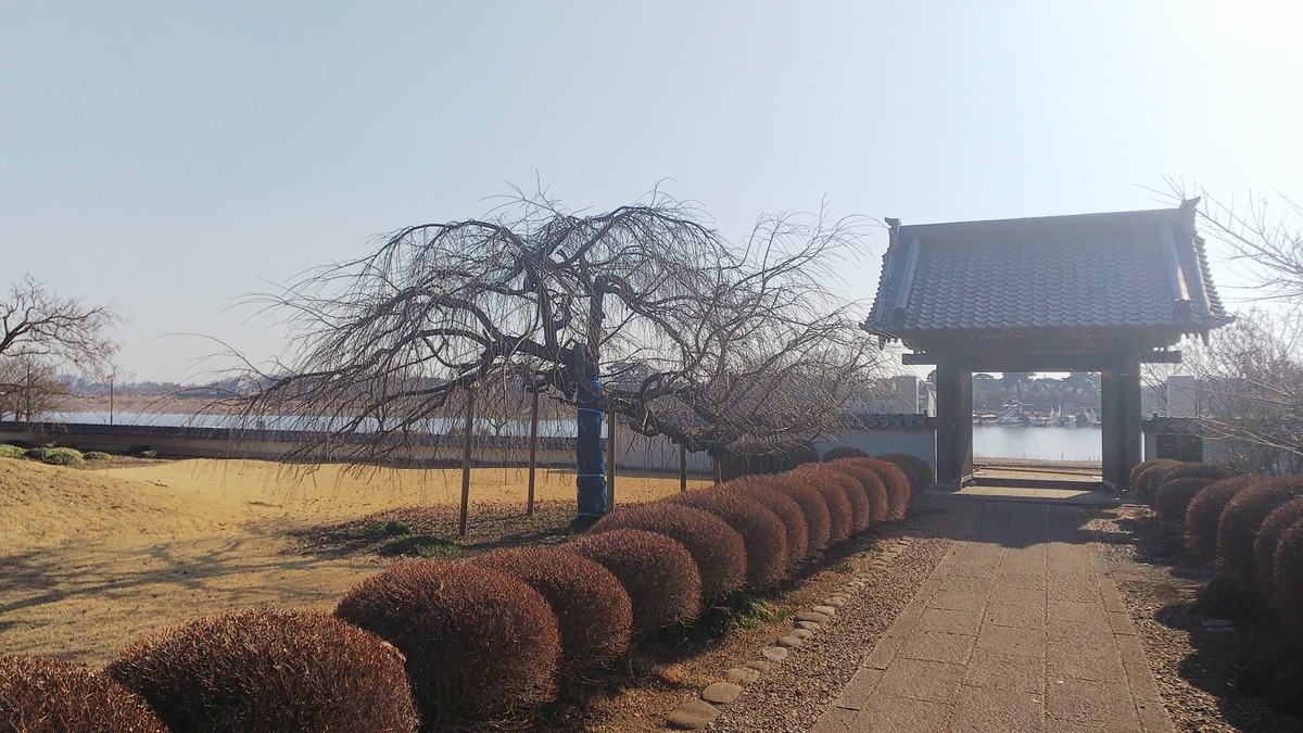 f:id:futaba1107:20210124113143j:plain