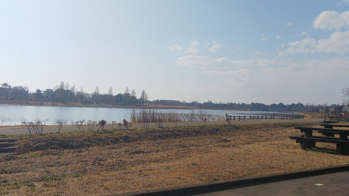 f:id:futaba1107:20210124113608j:plain