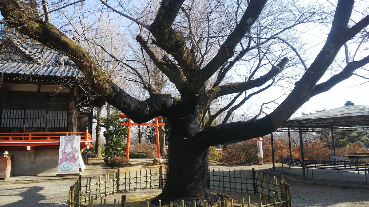f:id:futaba1107:20210124114137j:plain