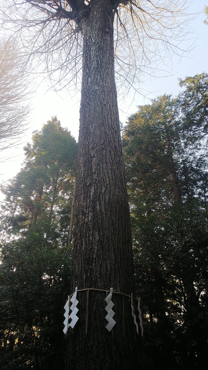 f:id:futaba1107:20210124120416j:plain
