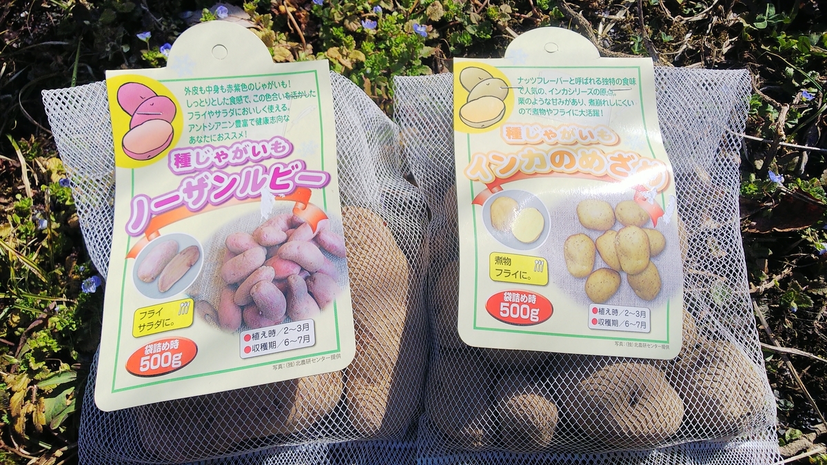 f:id:futaba1107:20210307110050j:plain