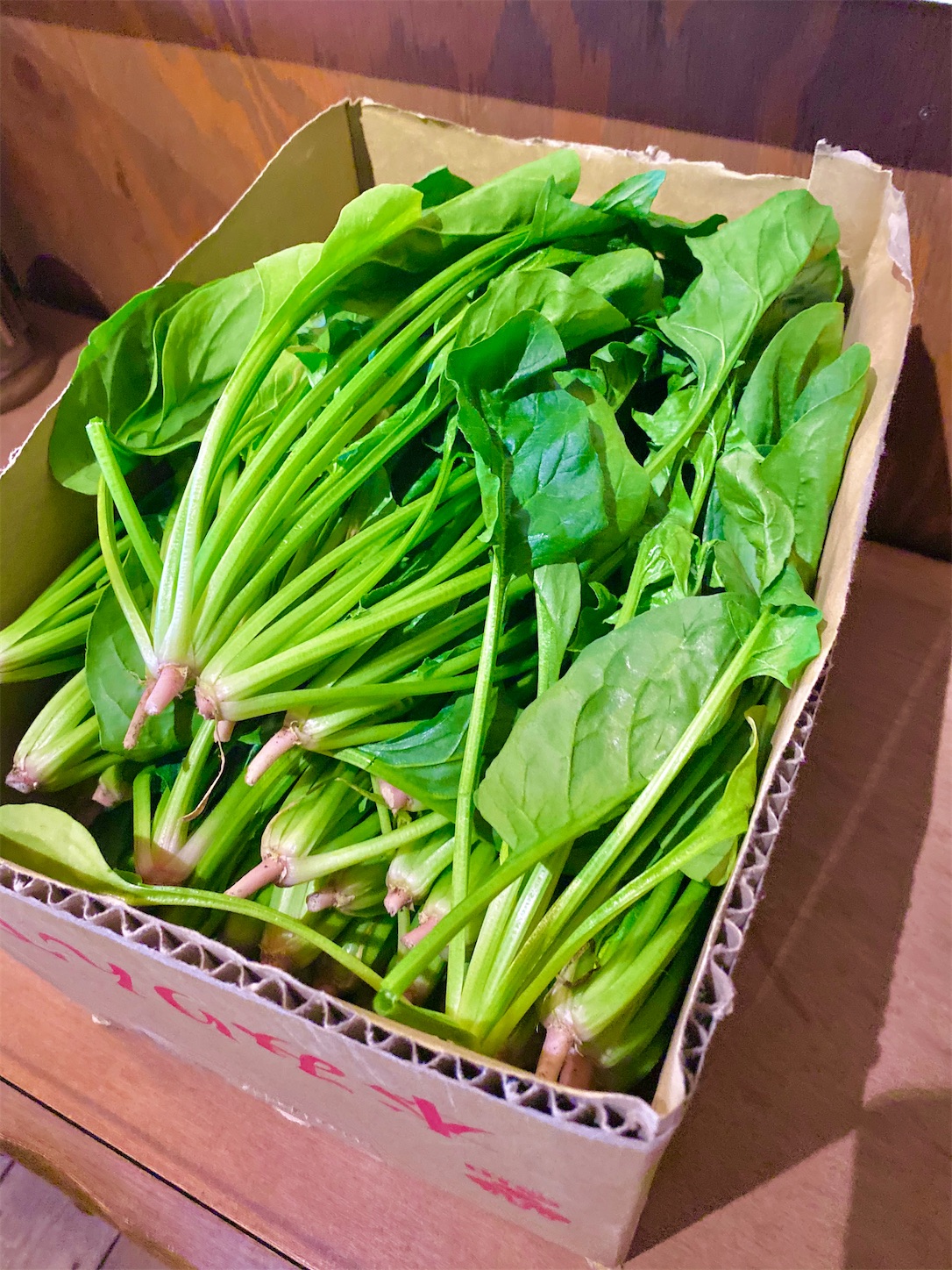 ほうれん草の大量消費にサグカレー 自家焙煎ふたば珈琲 広報担当日記