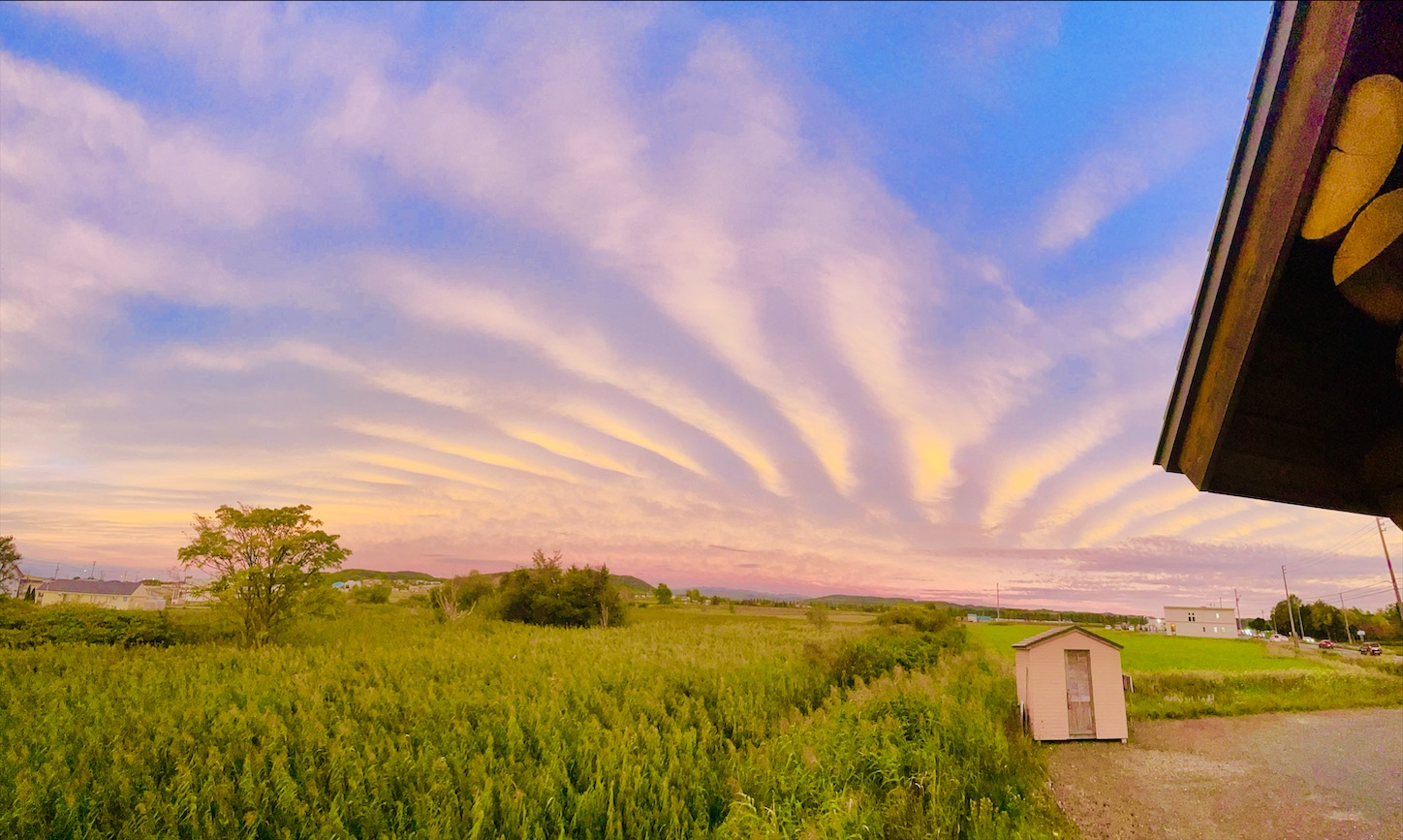 f:id:futabacoffee:20211002090218j:image