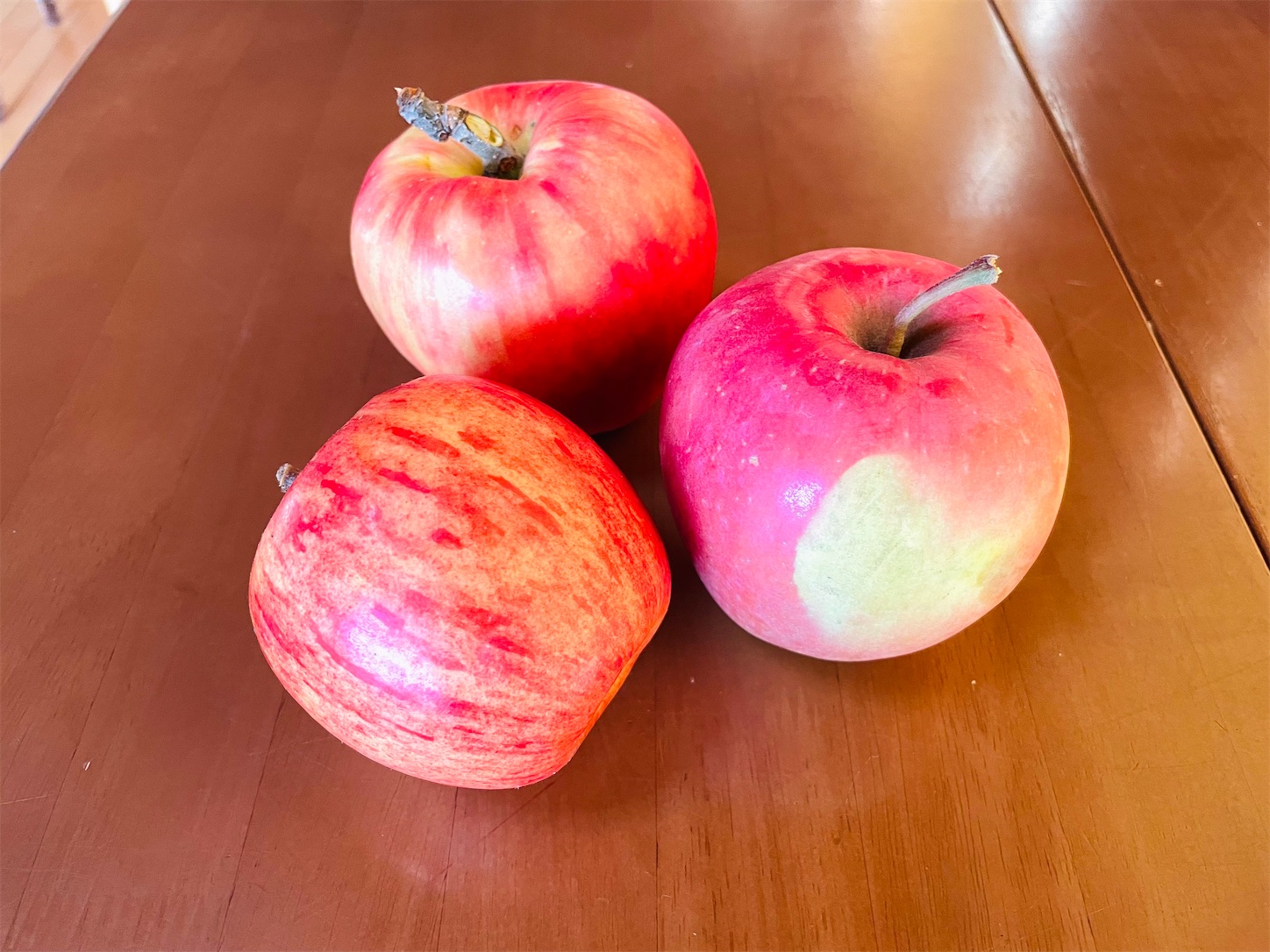 f:id:futabacoffee:20211022081426j:image