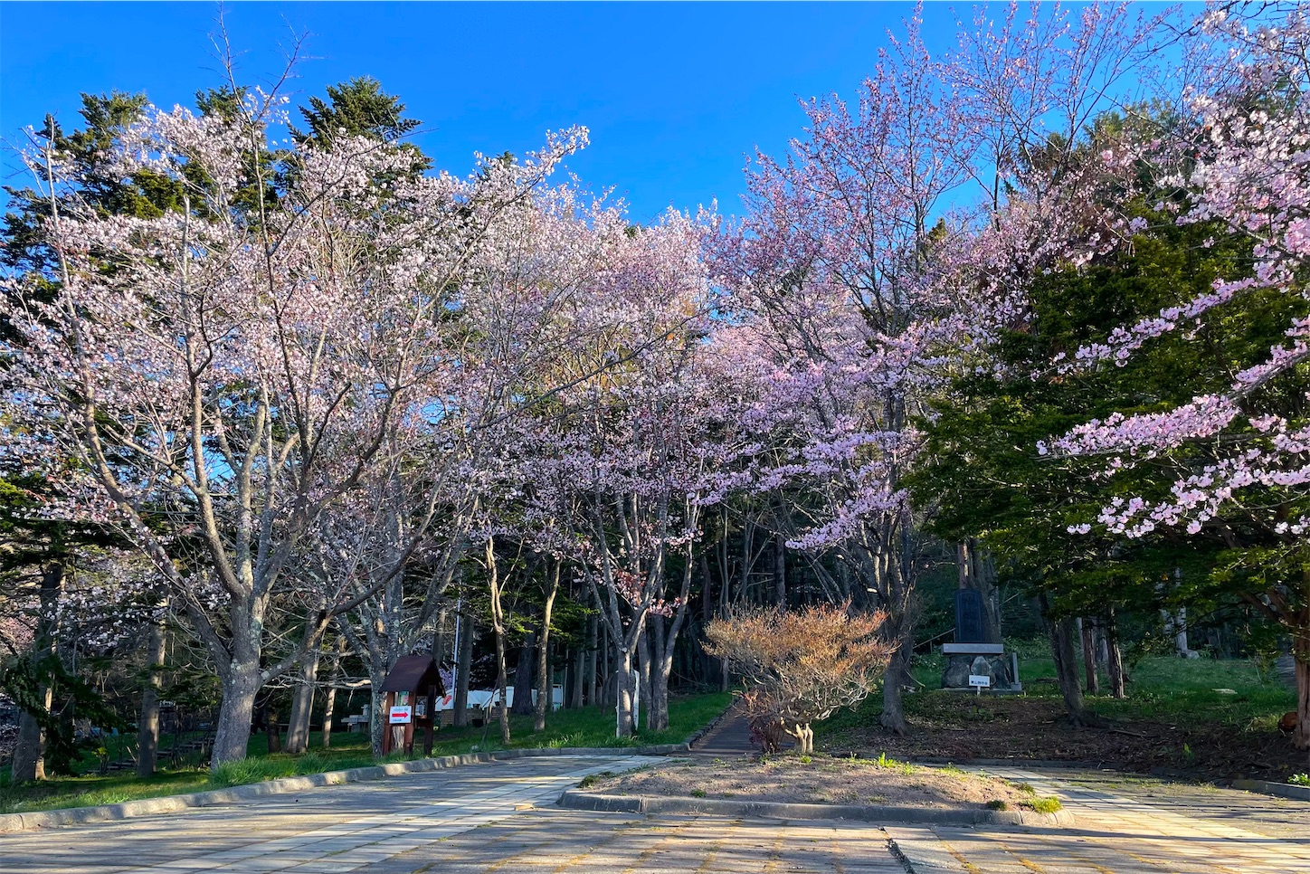 f:id:futabacoffee:20220501203706j:image