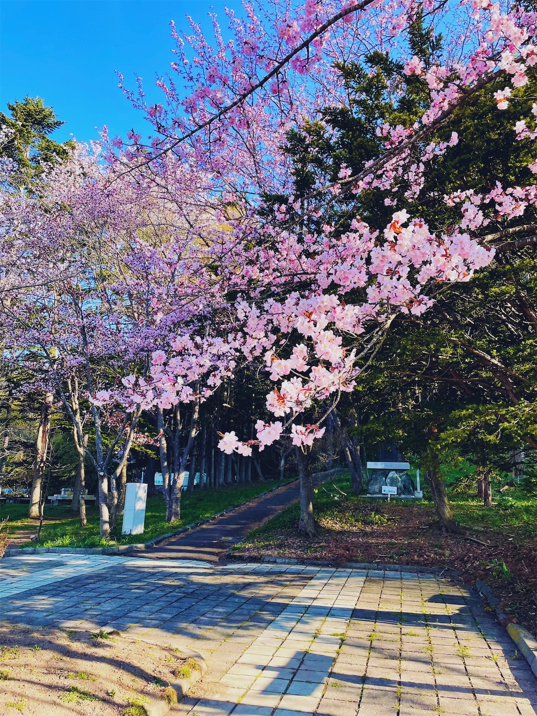 f:id:futabacoffee:20220501204329j:image