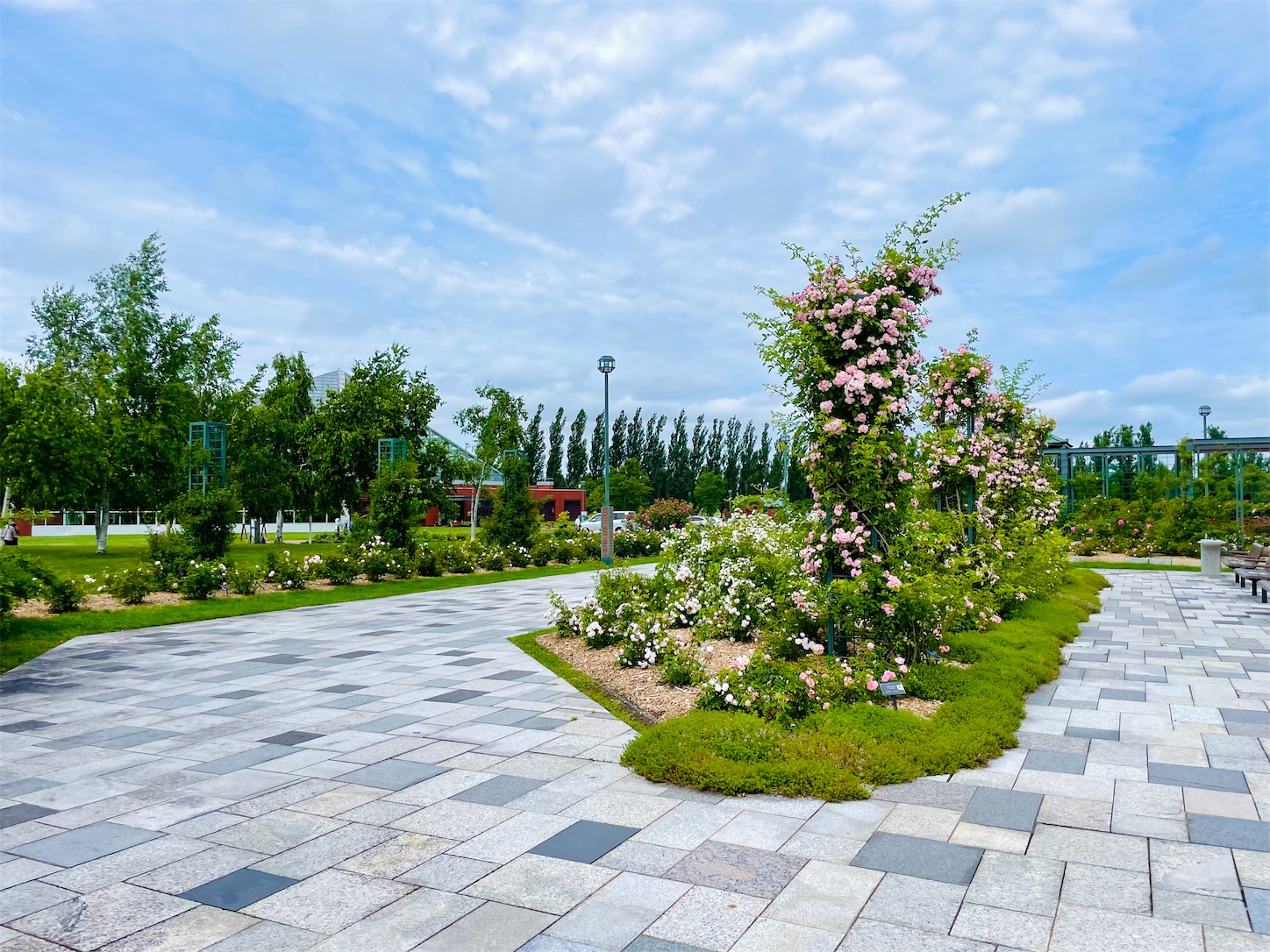 f:id:futabacoffee:20220702075847j:image