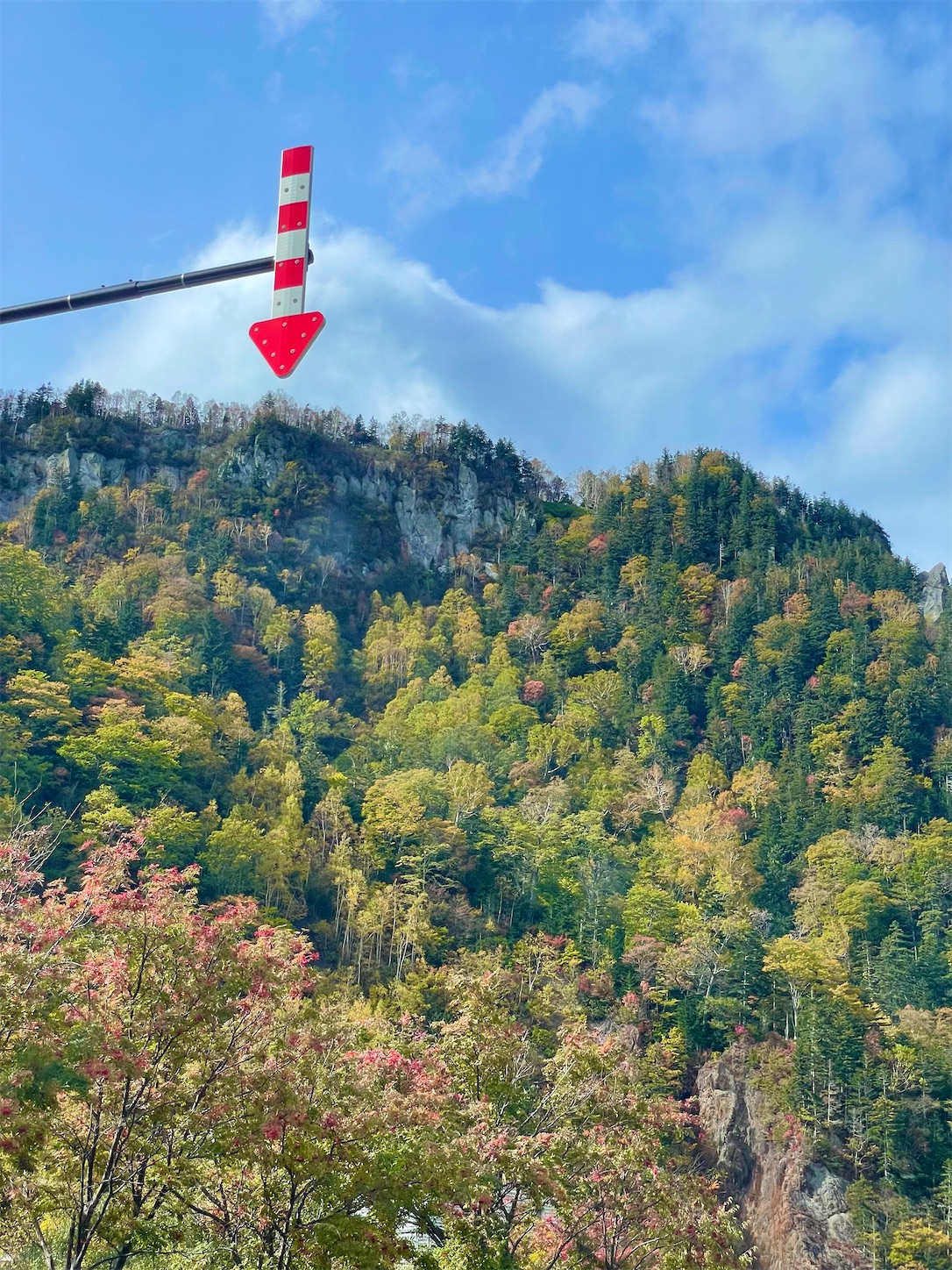 f:id:futabacoffee:20221009102052j:image