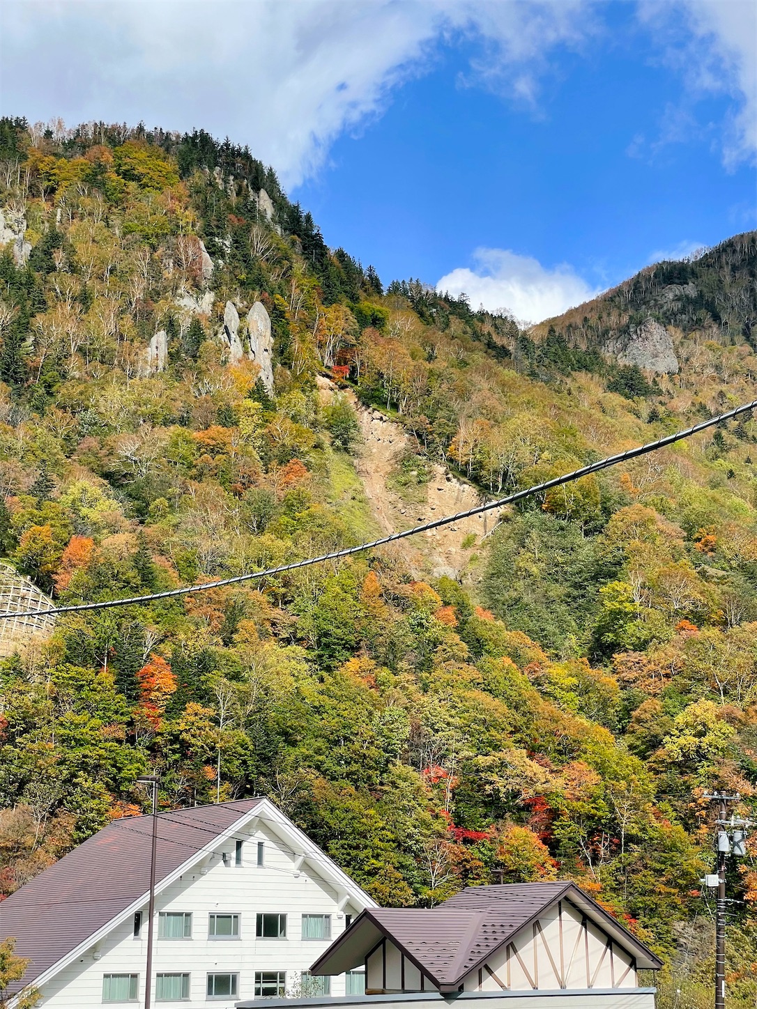 f:id:futabacoffee:20221009102055j:image