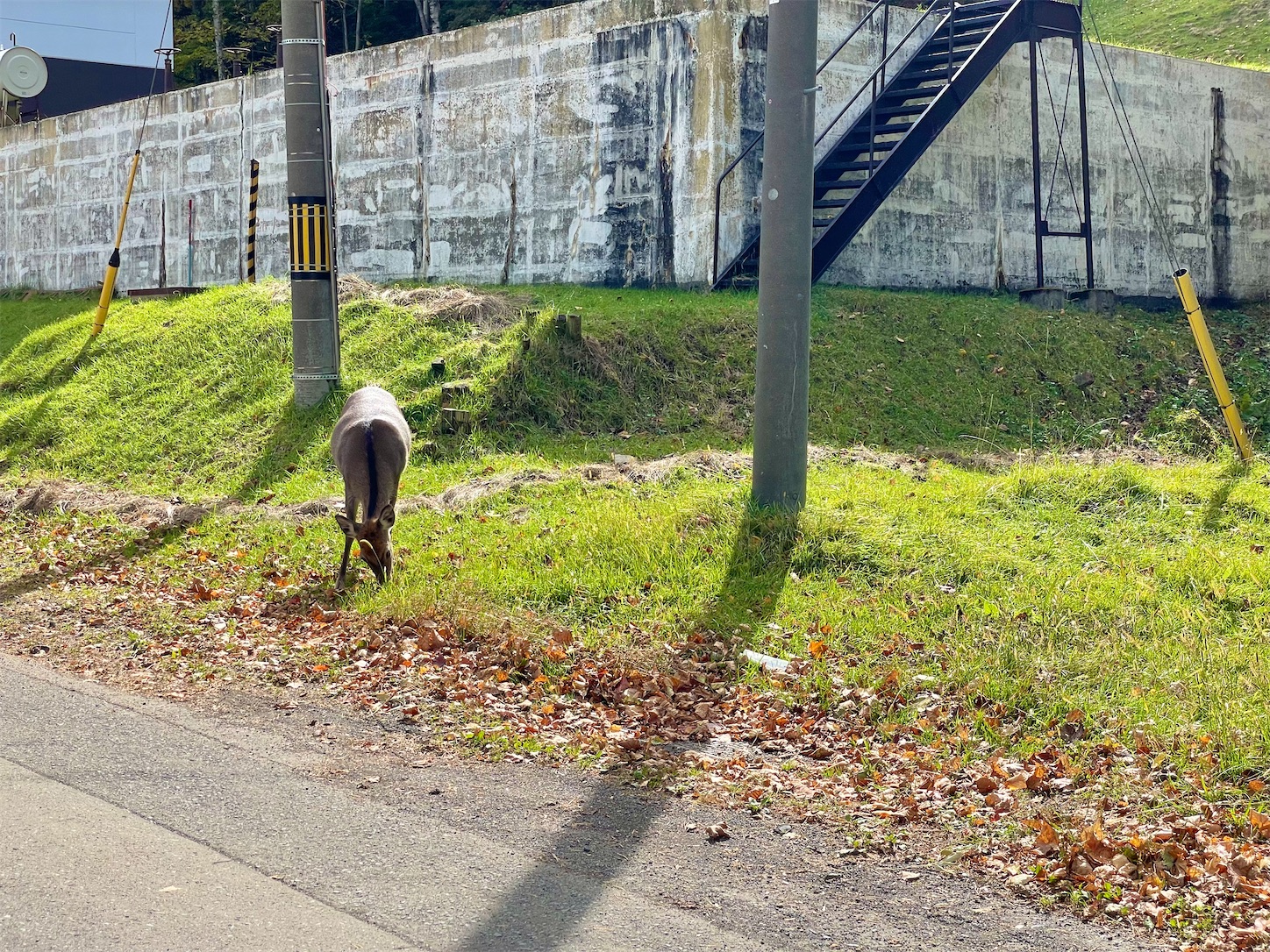 f:id:futabacoffee:20221009111306j:image