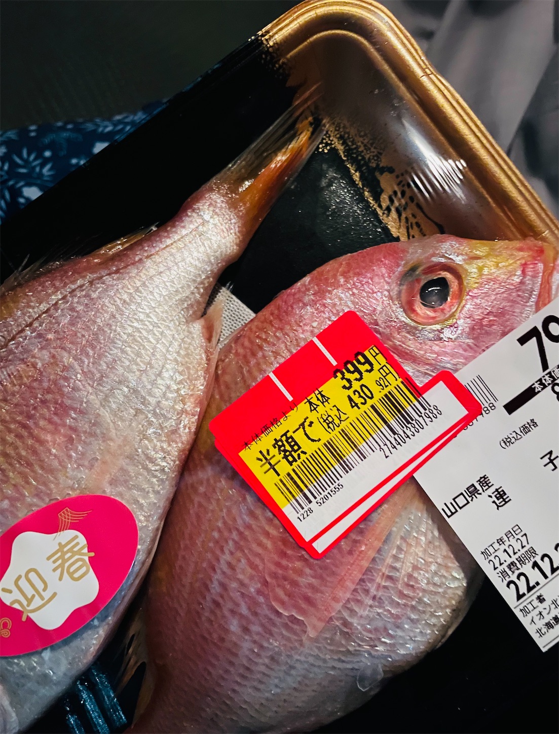 f:id:futabacoffee:20221229120204j:image