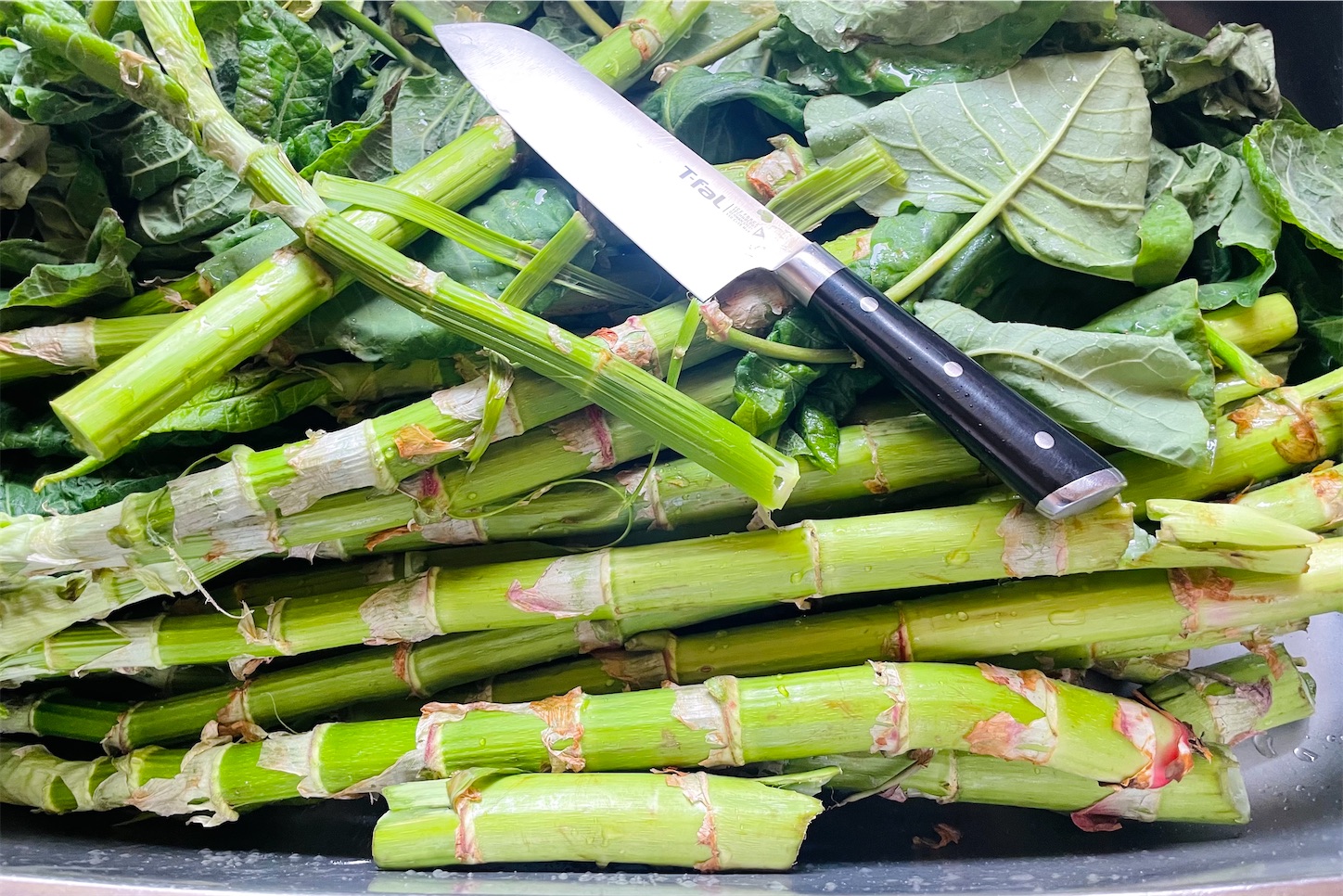 f:id:futabacoffee:20230509095047j:image