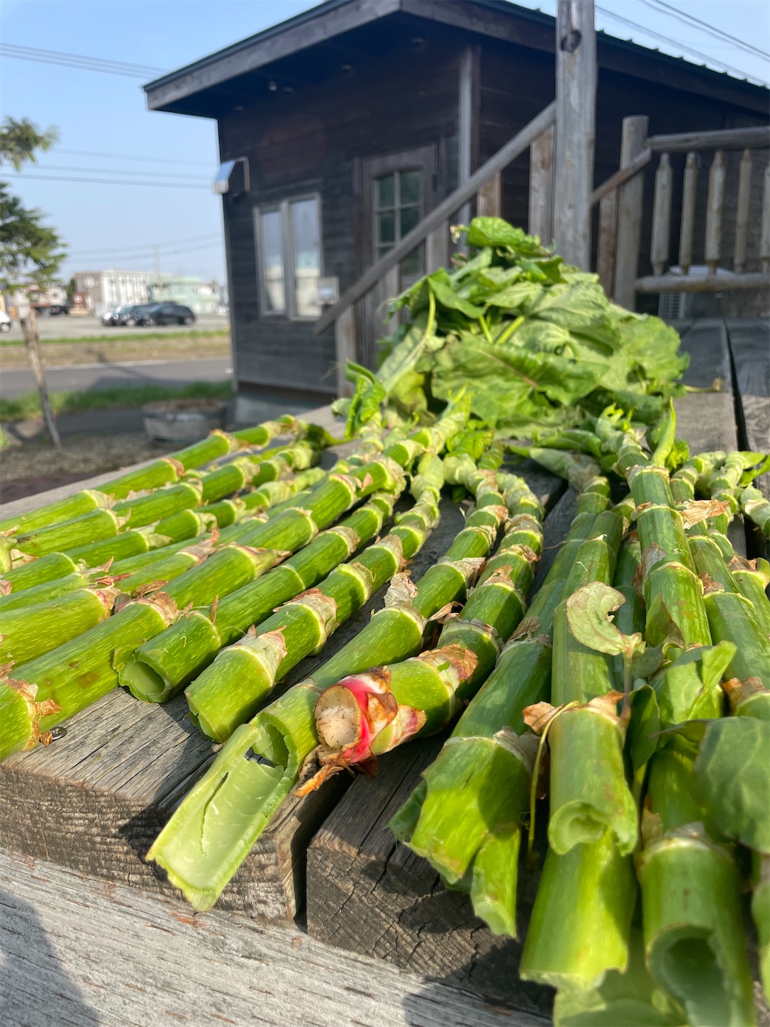 f:id:futabacoffee:20230509095333j:image