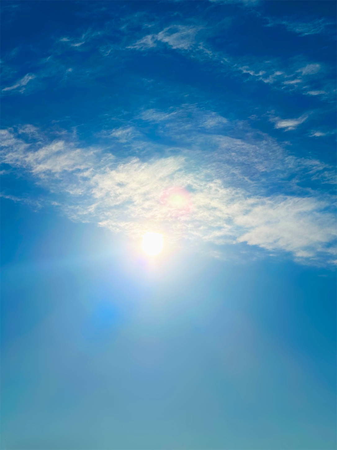 f:id:futabacoffee:20230622075235j:image