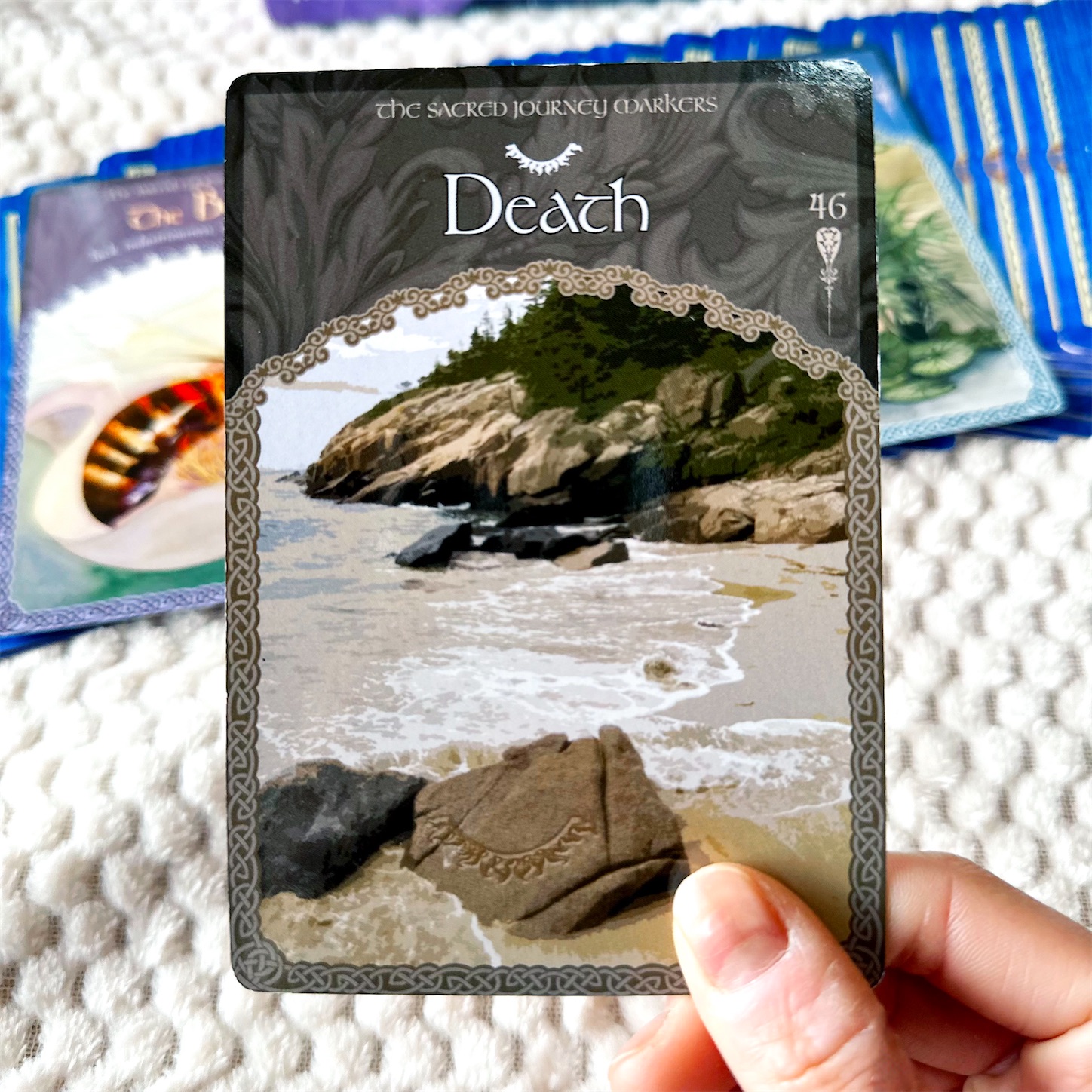 f:id:futabacoffee:20240117150203j:image