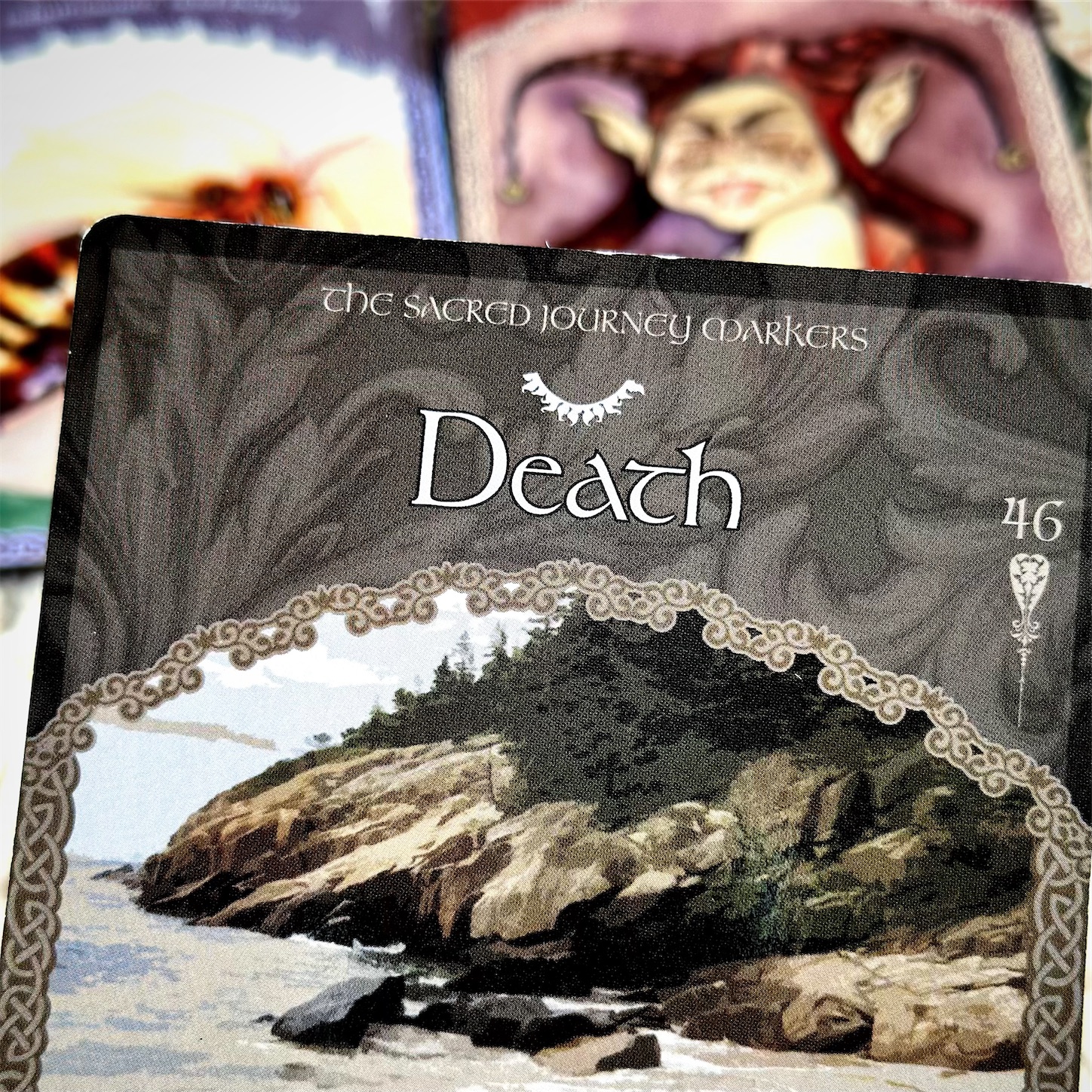 f:id:futabacoffee:20240117201618j:image