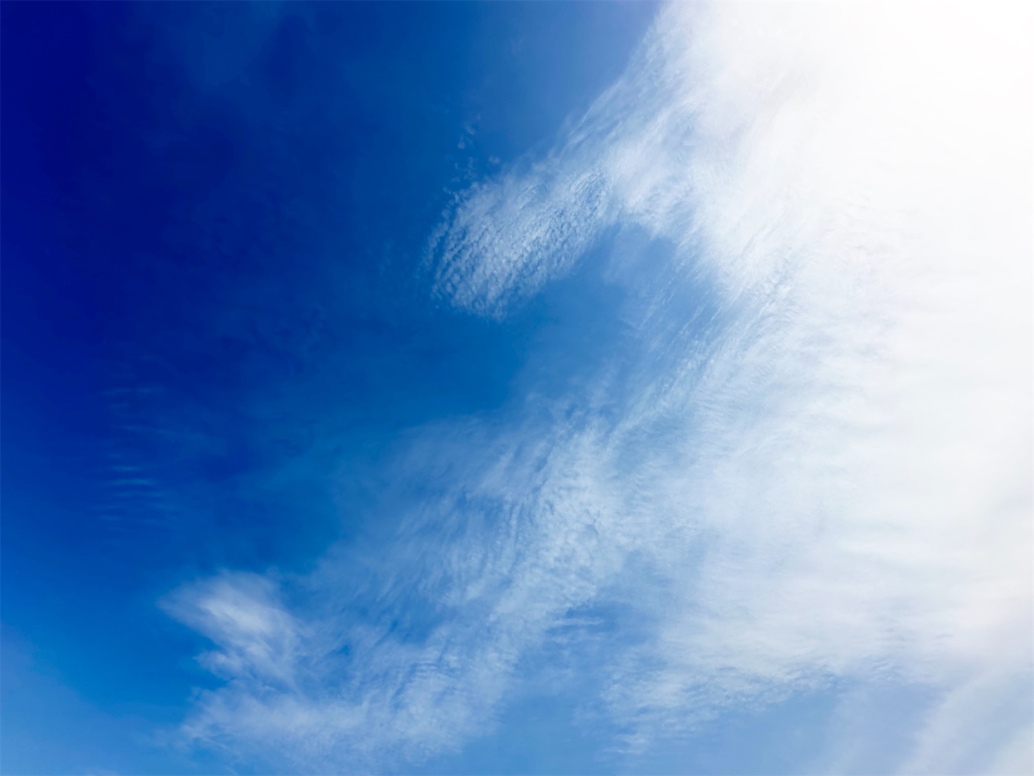 f:id:futabacoffee:20240511075552j:image