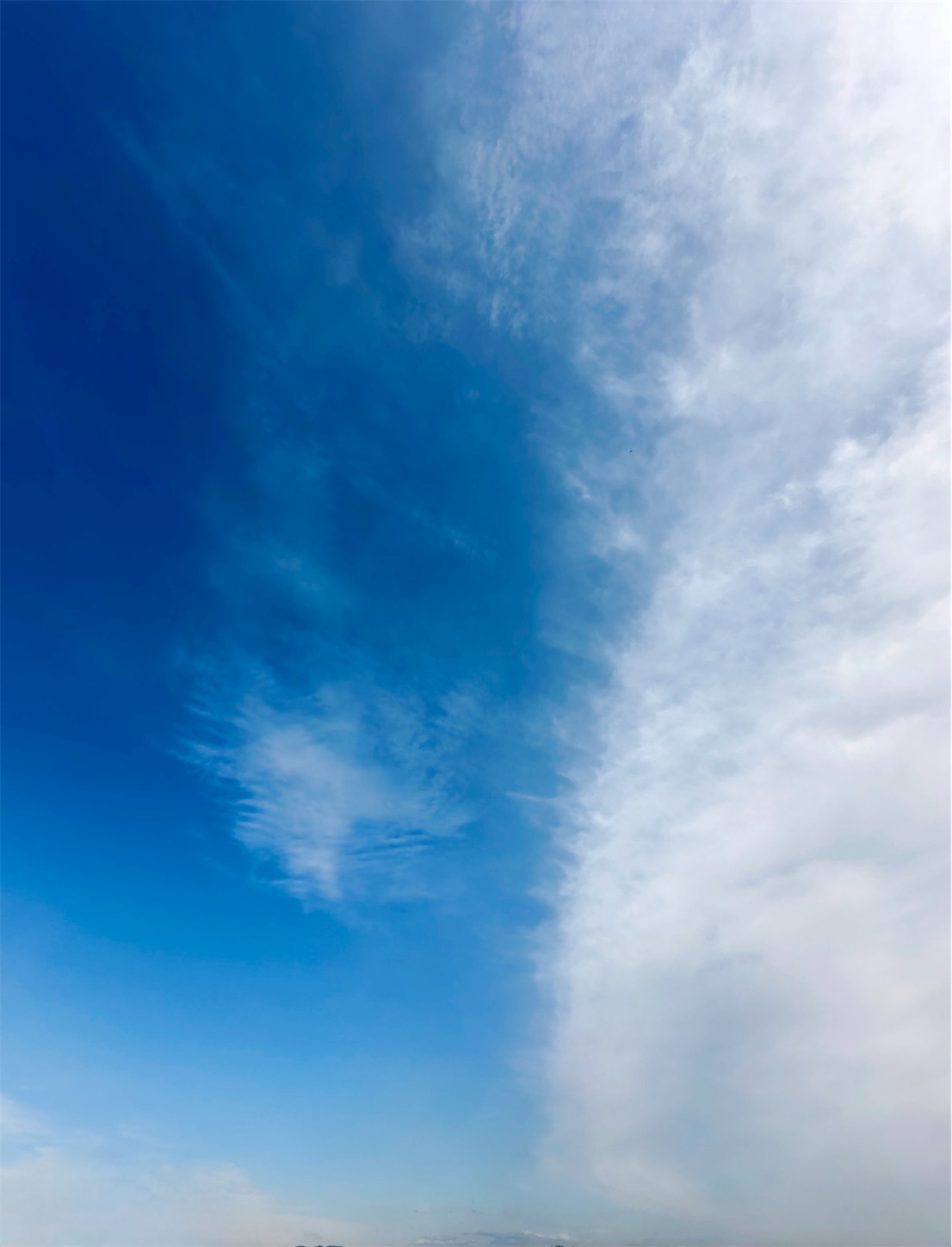 f:id:futabacoffee:20240511075556j:image