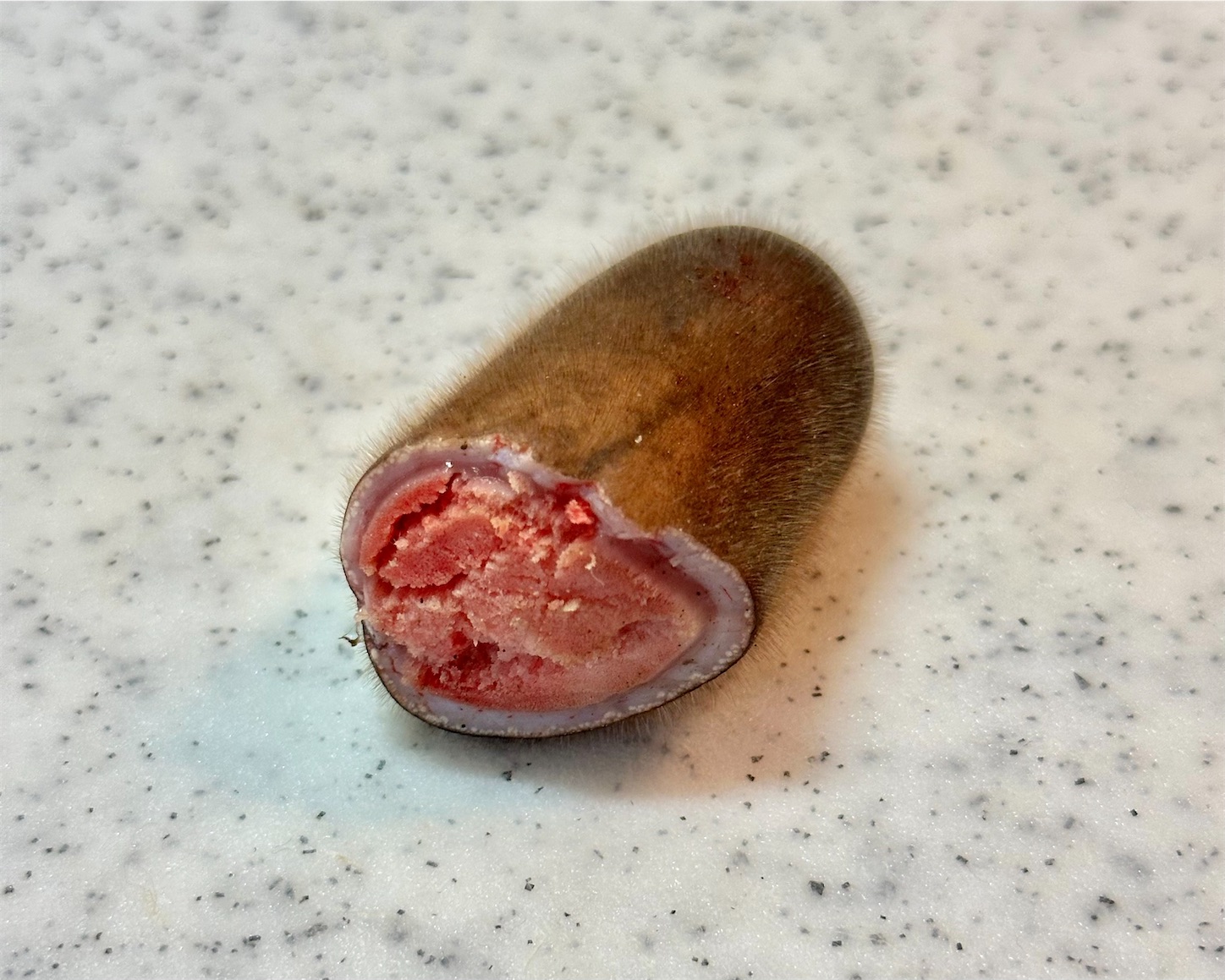 幾春別で鹿のツノ（袋角）をもらってきたので食べてみる②