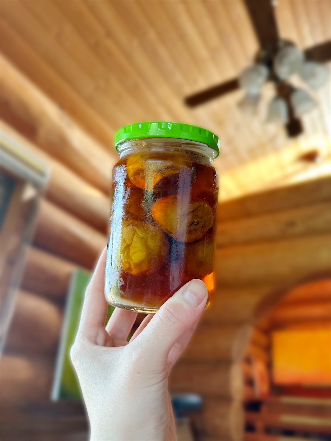 f:id:futabacoffee:20240615074651j:image