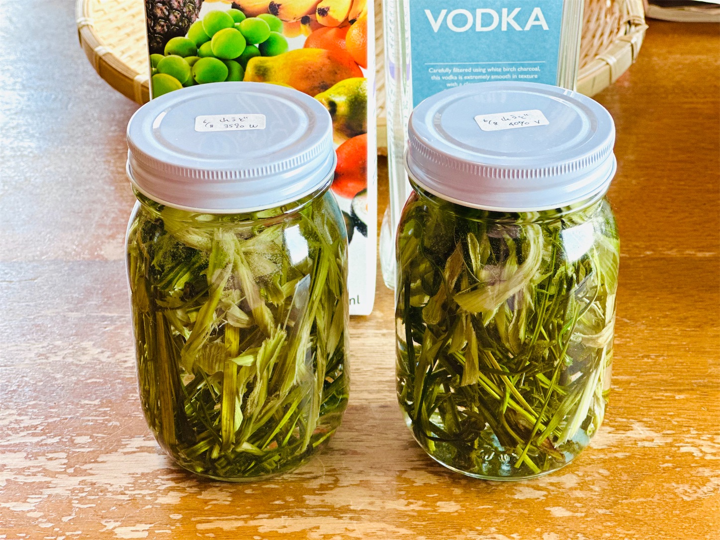 f:id:futabacoffee:20240708143837j:image