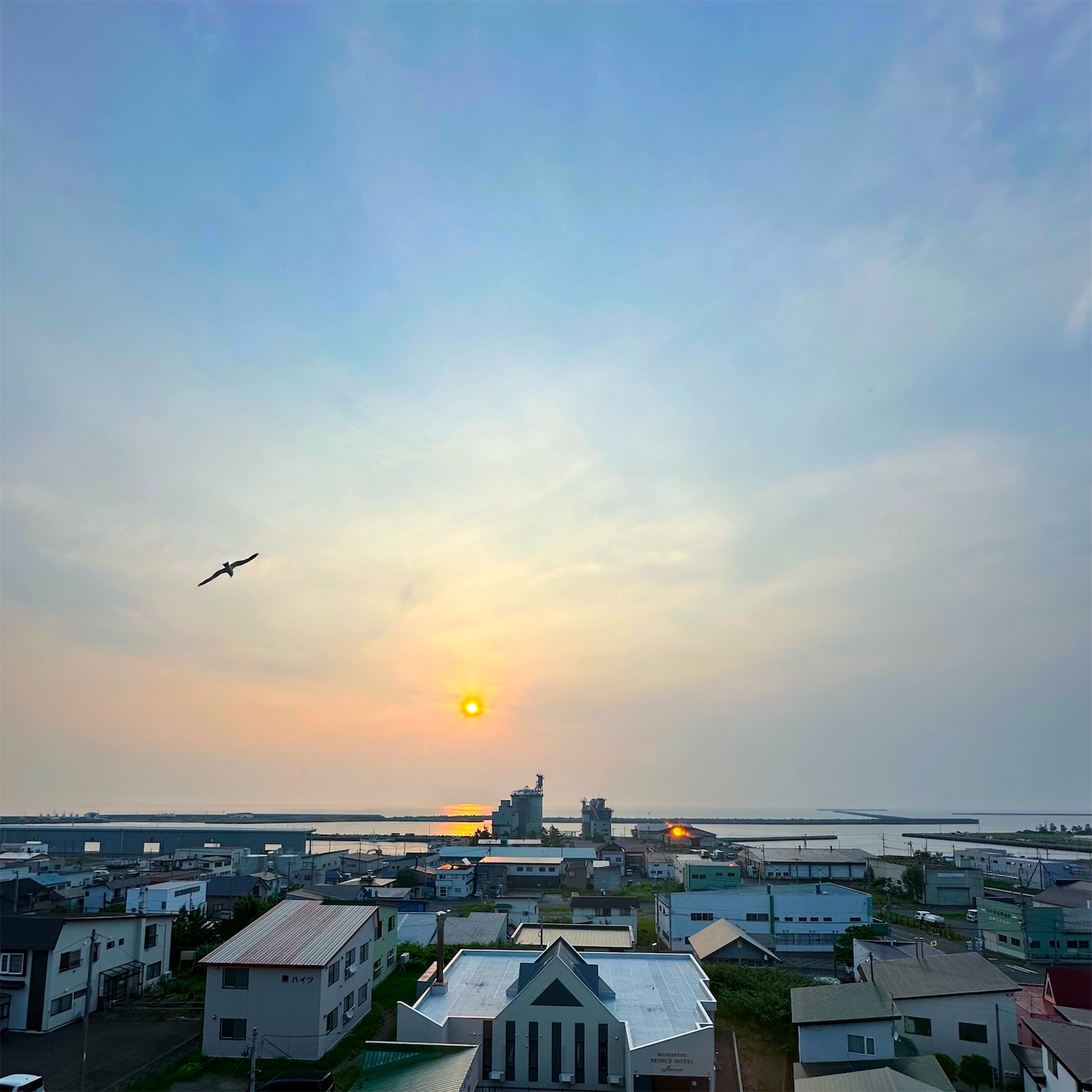 f:id:futabacoffee:20240718090034j:image