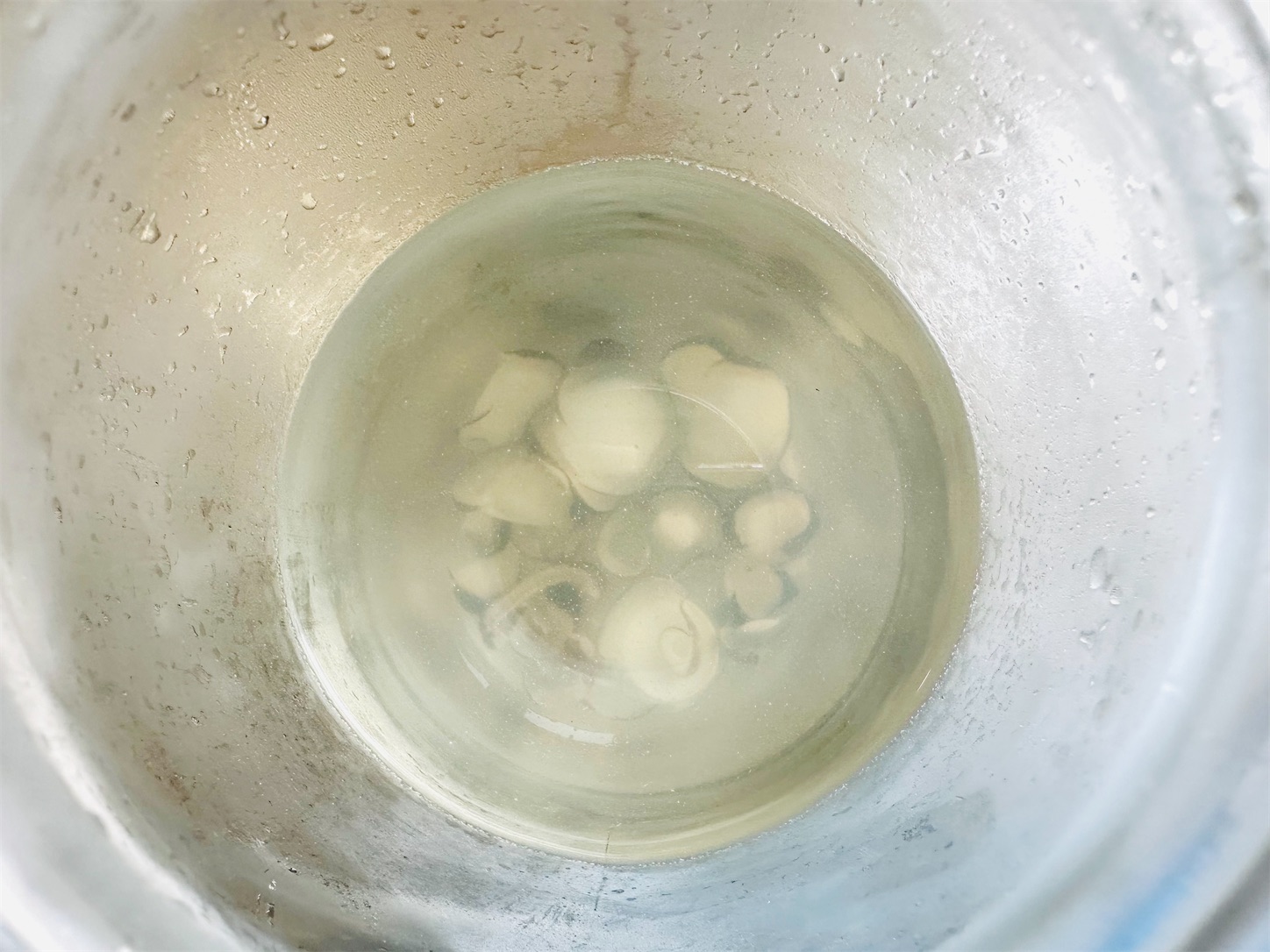 f:id:futabacoffee:20240904152126j:image