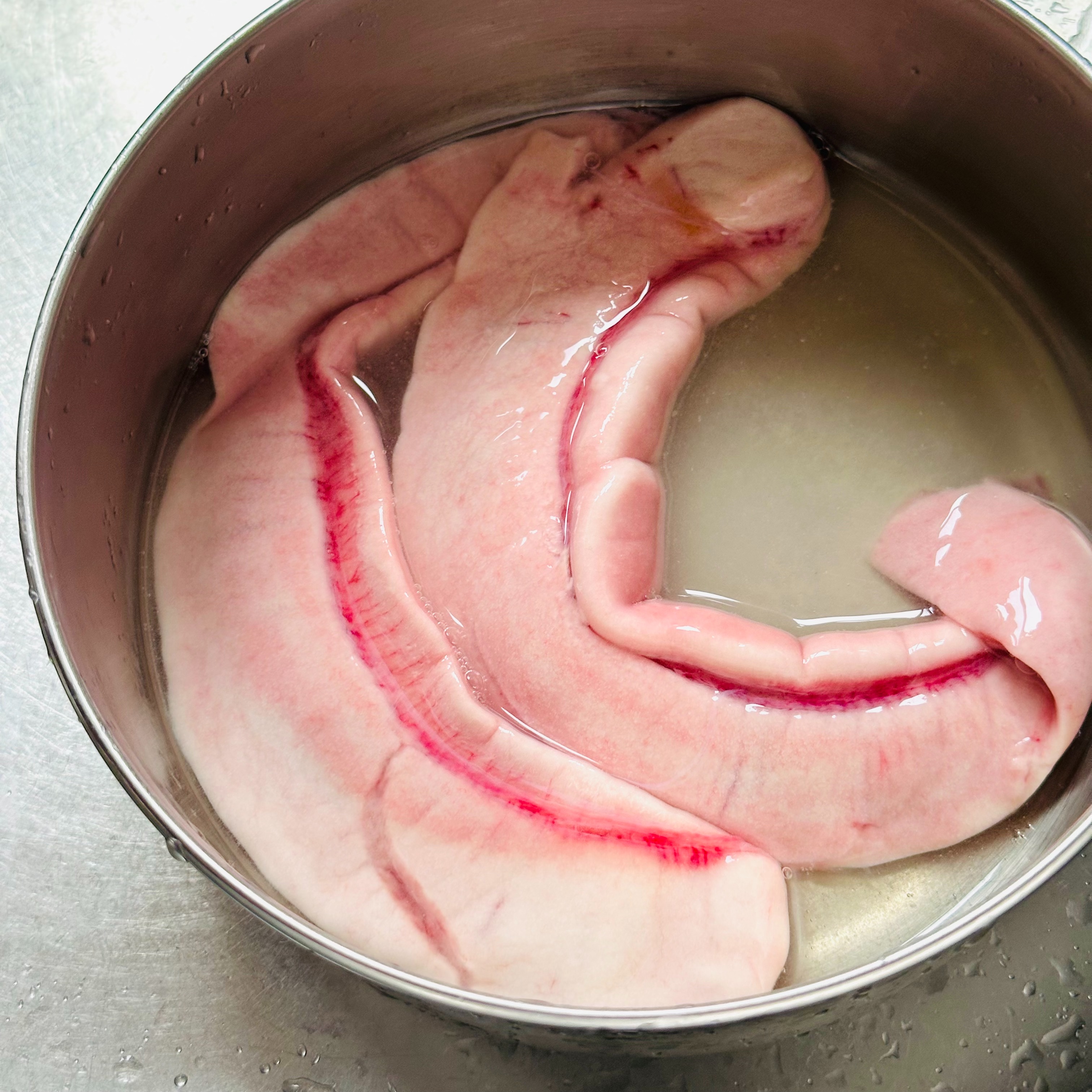 f:id:futabacoffee:20241026120017j:image