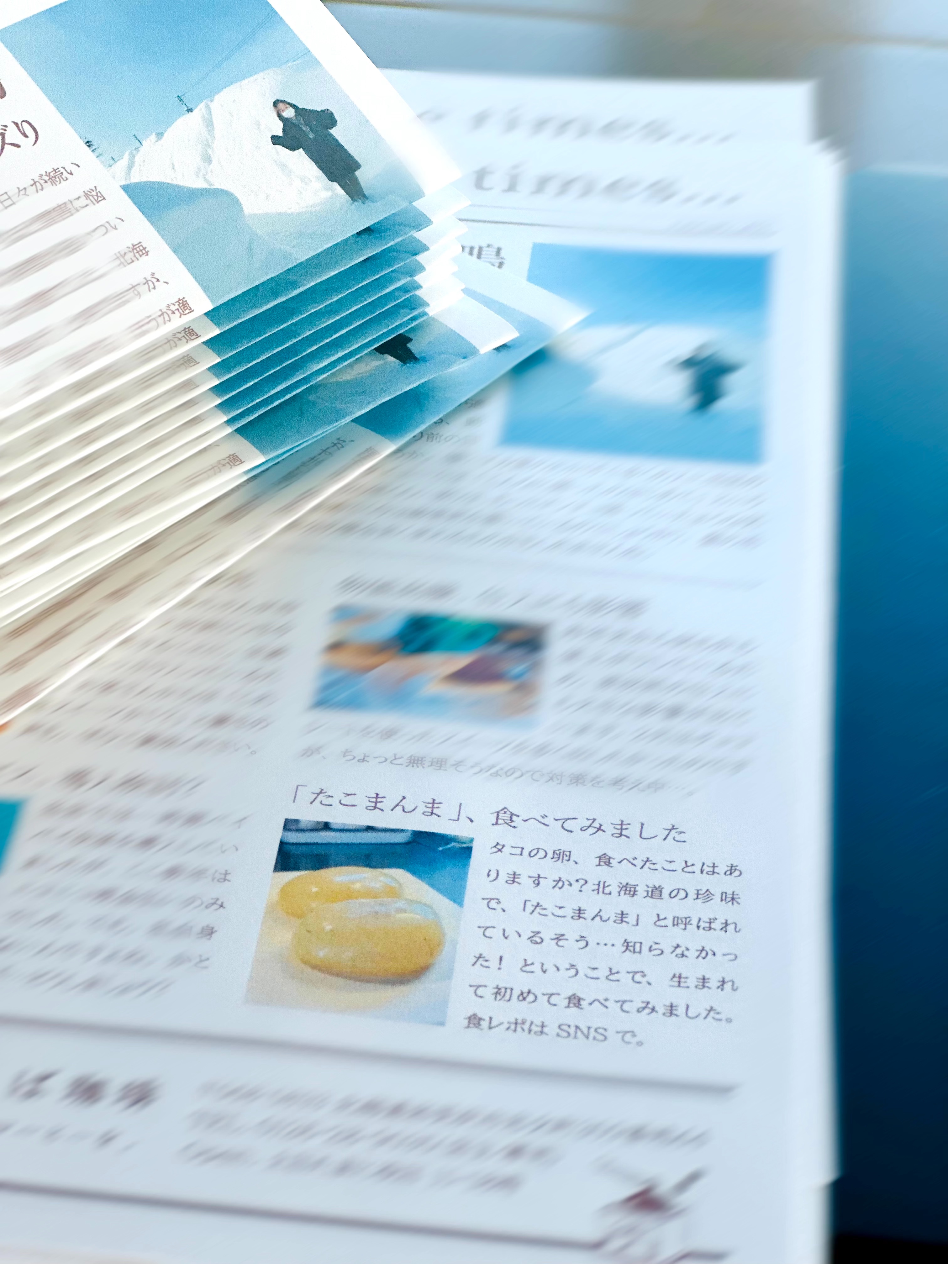 f:id:futabacoffee:20250201085209j:image