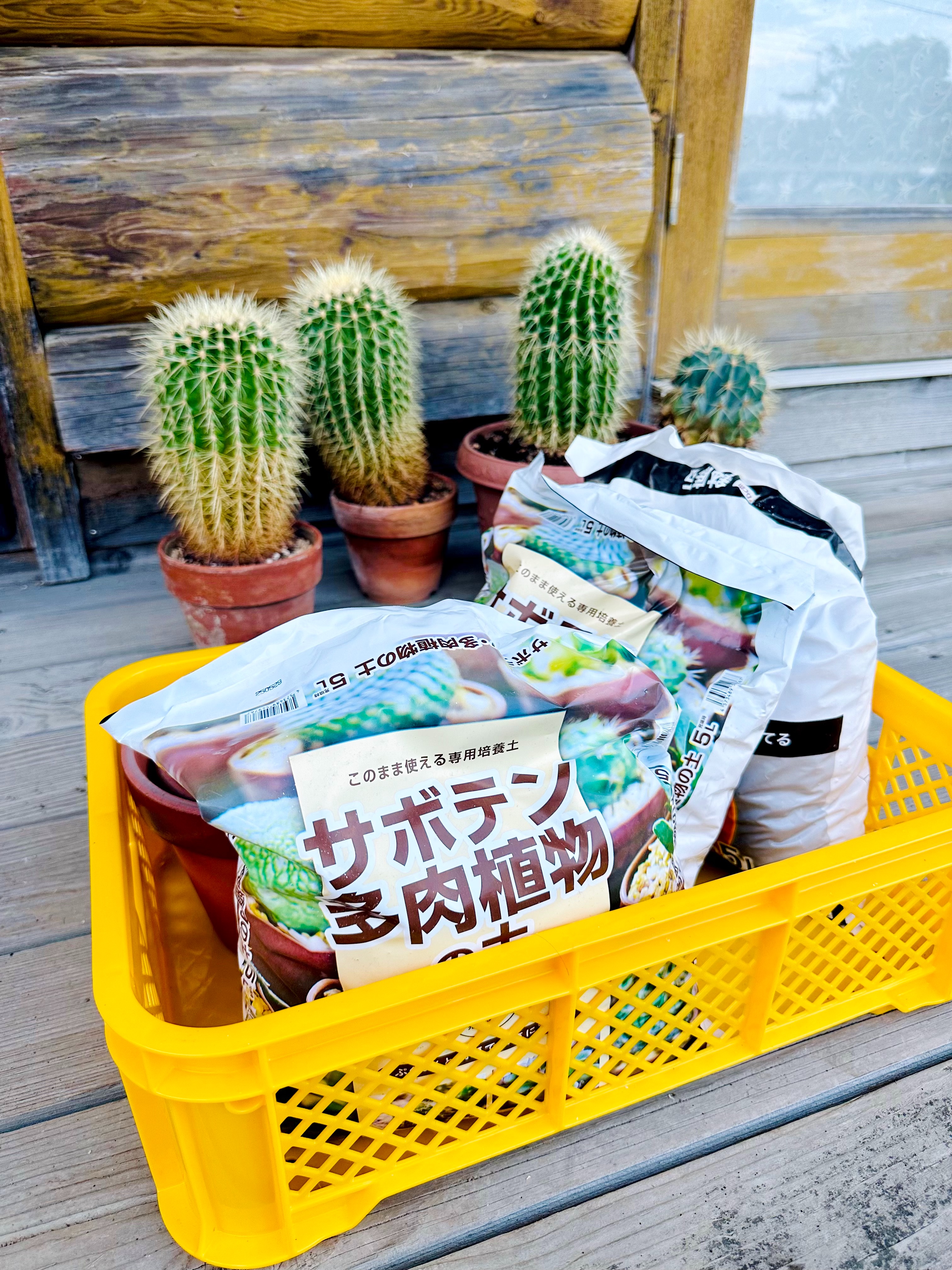 f:id:futabacoffee:20250813191551j:image