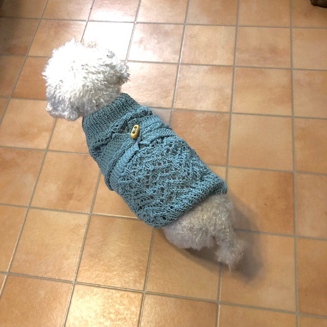 犬の手作り洋服コットン素材