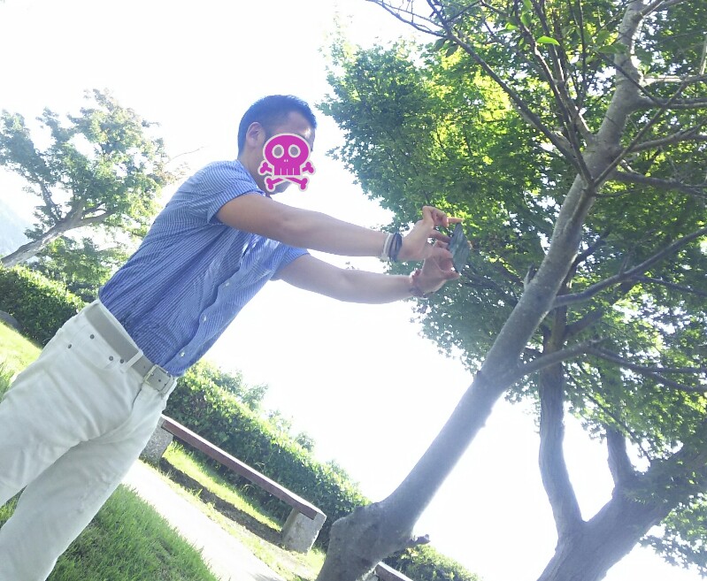 f:id:futagox:20170825080253j:plain