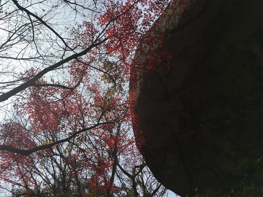 f:id:futagoya3:20230922164442j:image f:id:futagoya3:20230922164442j:image