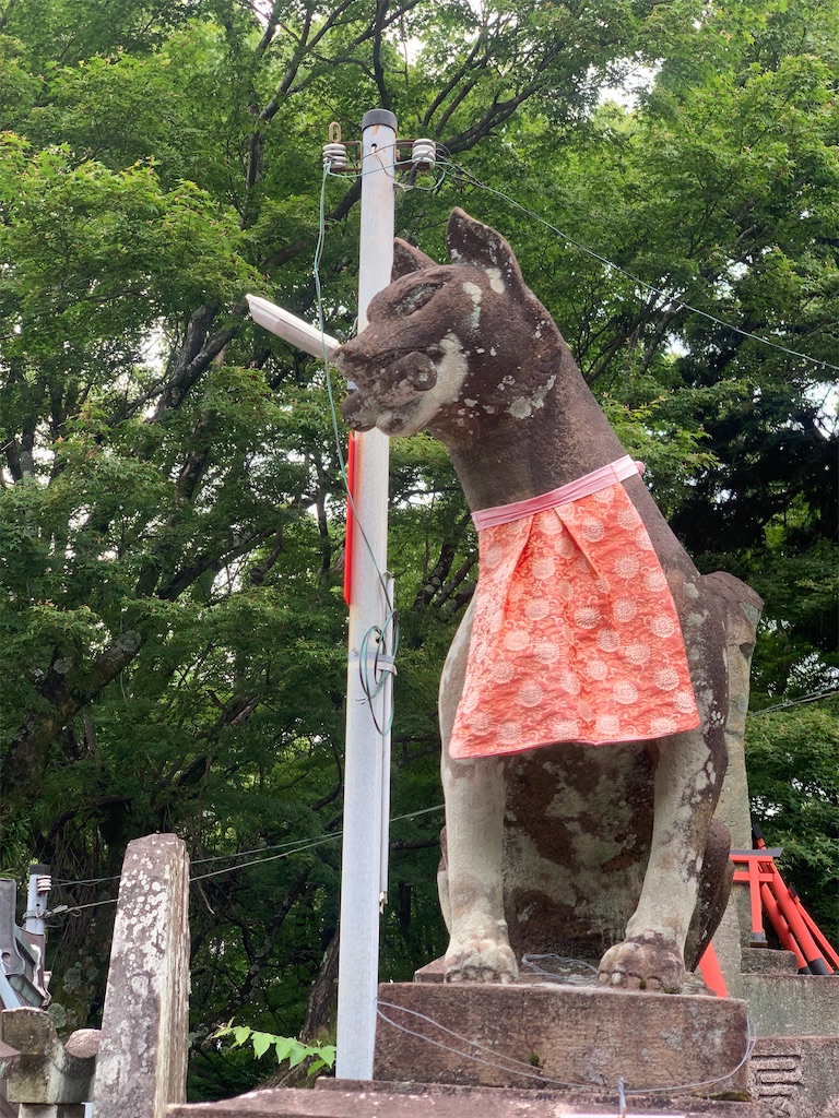 f:id:futagoya3:20231116091619j:image f:id:futagoya3:20231116091619j:image