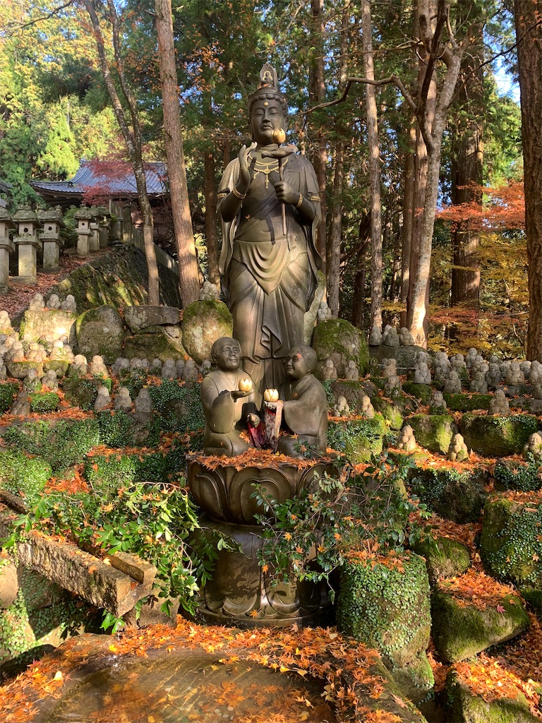 f:id:futagoya3:20231203213526j:image