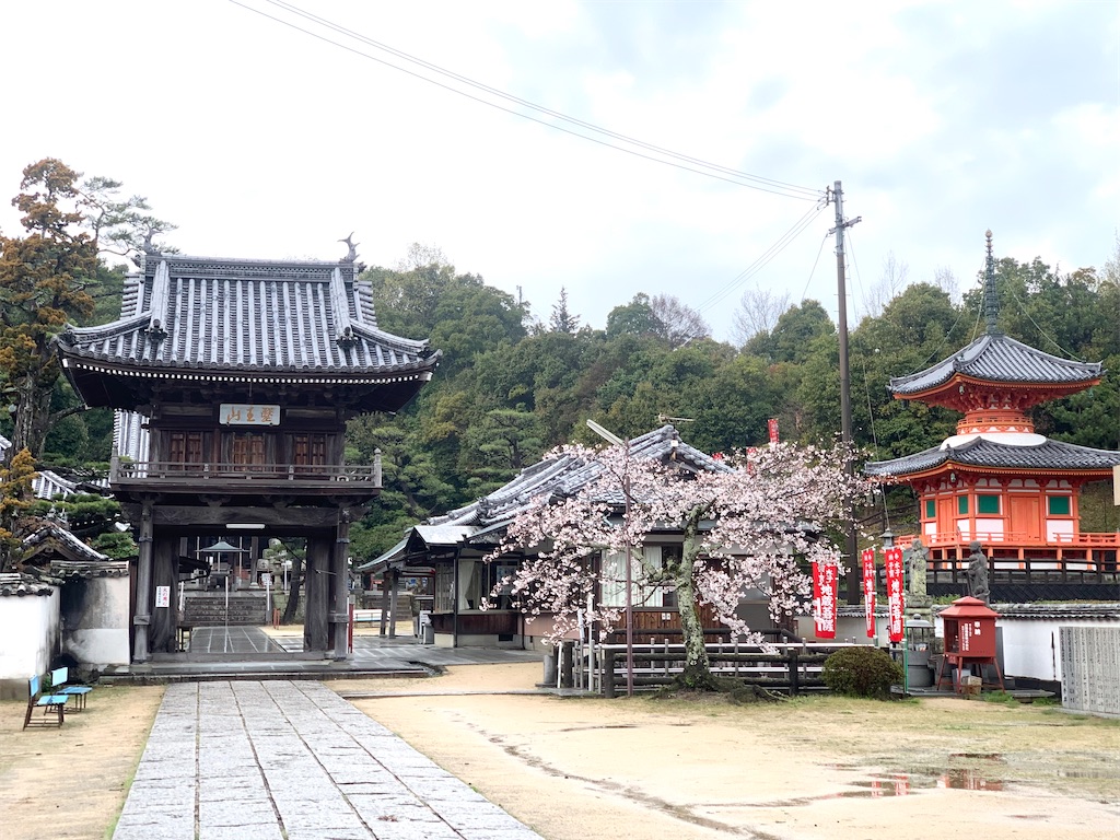 f:id:futagoya3:20240403170424j:image f:id:futagoya3:20240403170424j:image