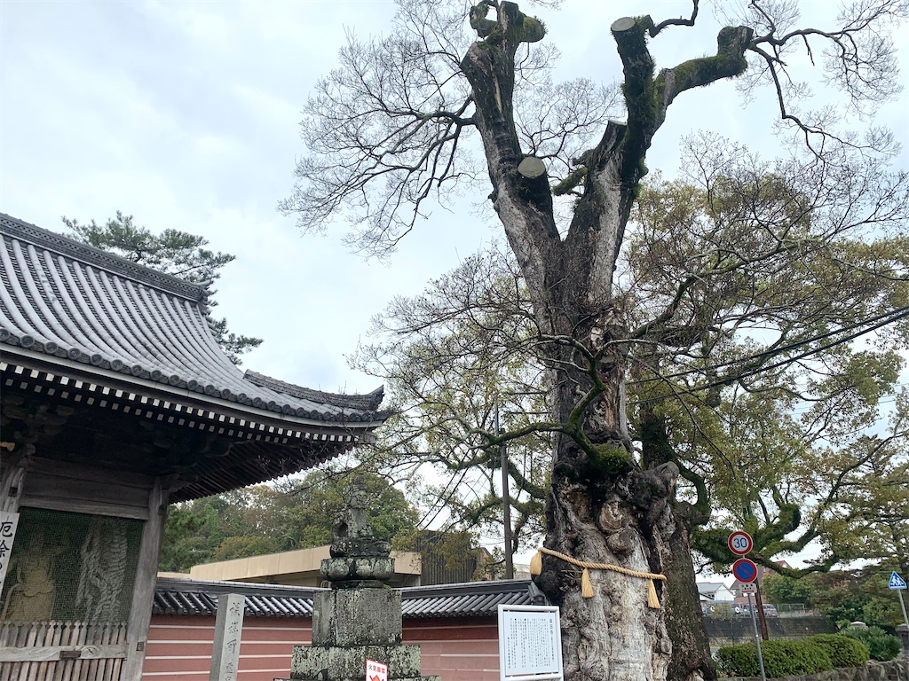 f:id:futagoya3:20240403170427j:image f:id:futagoya3:20240403170427j:image