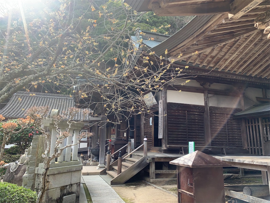 f:id:futagoya3:20240425081829j:image