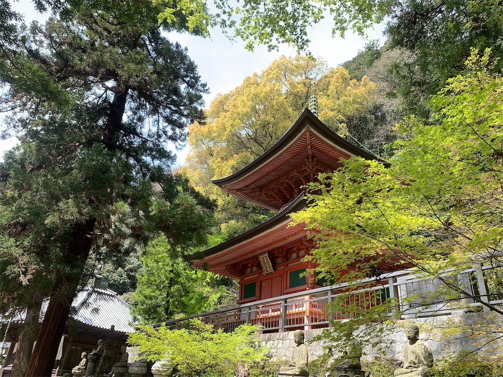 f:id:futagoya3:20240425093832j:image