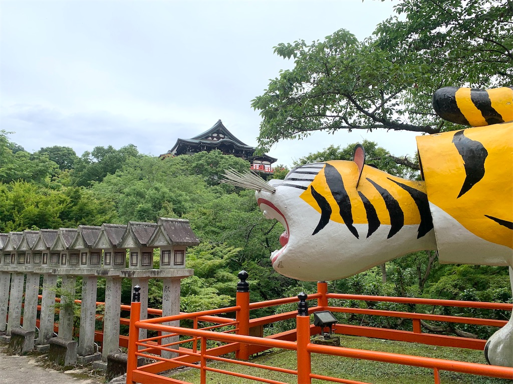 f:id:futagoya3:20240618091949j:image f:id:futagoya3:20240618091949j:image