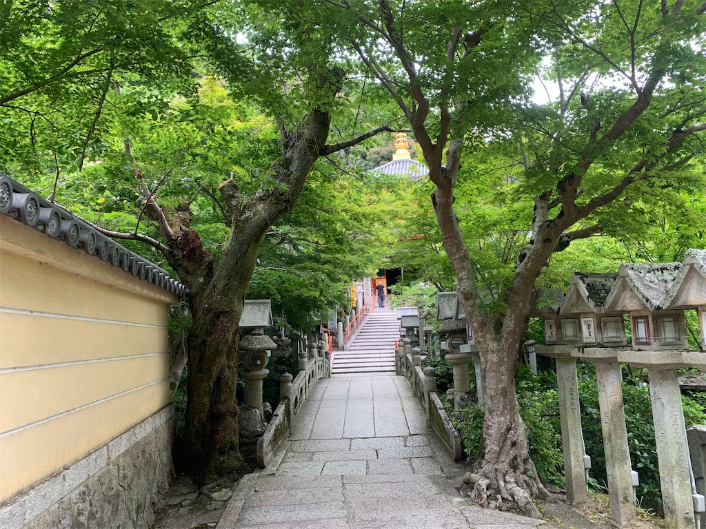 f:id:futagoya3:20240618091955j:image f:id:futagoya3:20240618091955j:image
