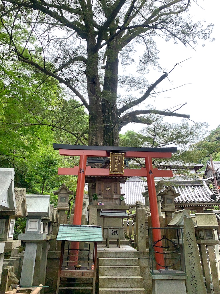 f:id:futagoya3:20240618091958j:image f:id:futagoya3:20240618091958j:image