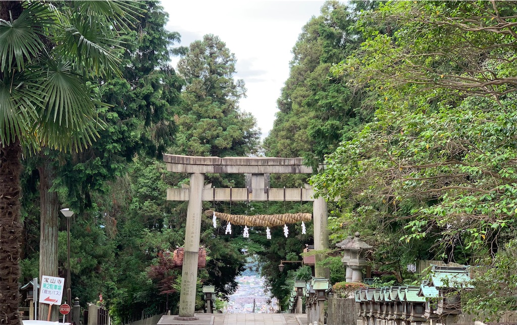 f:id:futagoya3:20240618170926j:image f:id:futagoya3:20240618170926j:image