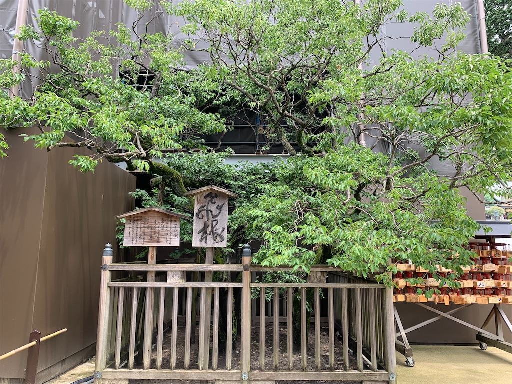 f:id:futagoya3:20240727100932j:image
