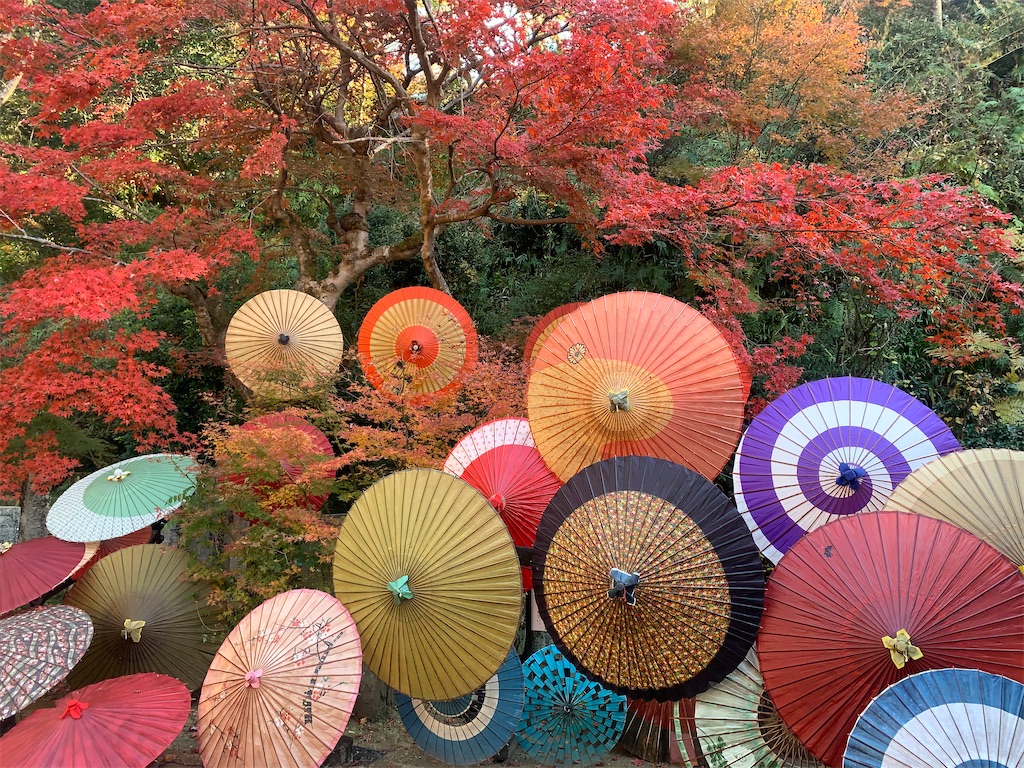 f:id:futagoya3:20241213103252j:image