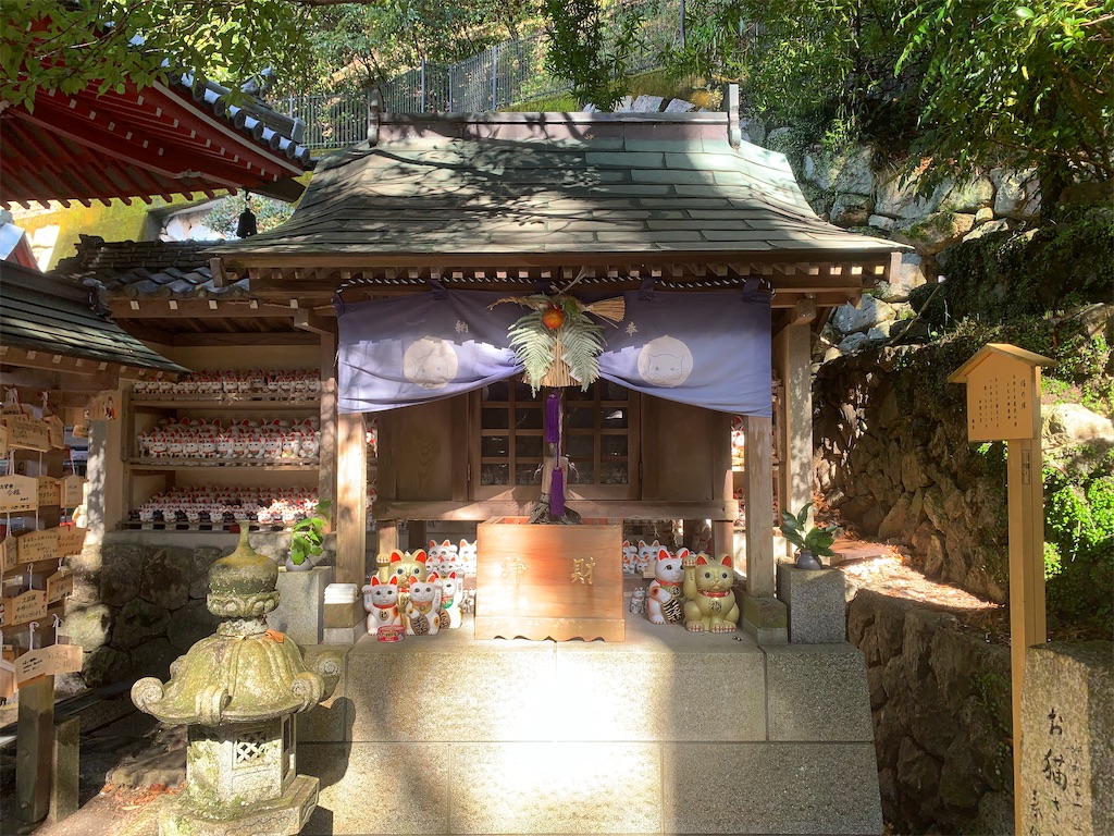 f:id:futagoya3:20250125104744j:image